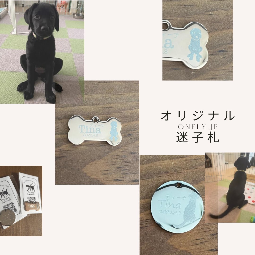 OnelyJp's tweet photo. オリジナル迷子札、骨型と円型お作りしました。ティーナちゃんの、カエル座り、以前作ったティーナちゃんの兄弟犬、トッポちゃんと瓜二つ😂
#オリジナルシルエット
#onely
#ワンリー
https://t.co/Os7PcW0WsP https://t.co/WzHY6lb7xK