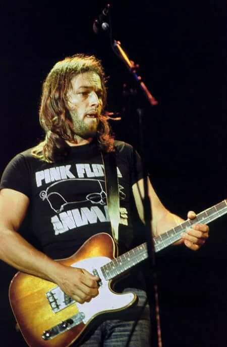 crockpics's tweet photo. David Gilmour, playing "Dogs" with a '62 Telecaster, Animals Tour, 1977. https://t.co/2JWwRVGCwN