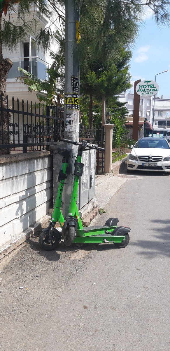 Psikoloğum: çiftleşen martılar gerçek değil sana zarar veremez