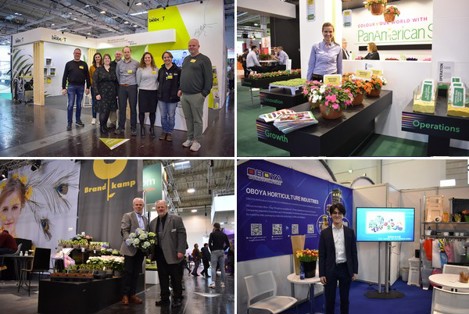 FloralDaily tweet media