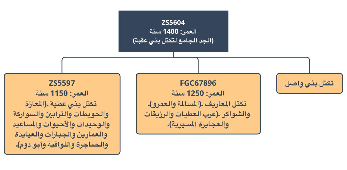 العطويون والسعود في جذام كثير، وهي اسماء متكررة في بطون جذام شرقا وغربا.
وعطية _ العطويون _ عطية _ جد قبائل بني عطية بجنوب فلسطين وسيناء والذين منهم الترابين والوحيدات والمعازة_ من ولد عقبة من مالك بن سويد، وفصل الجزيري في هذا البطن وعدد طوائفهم. نتائجهم اسف تحور عقبة J-ZS5604