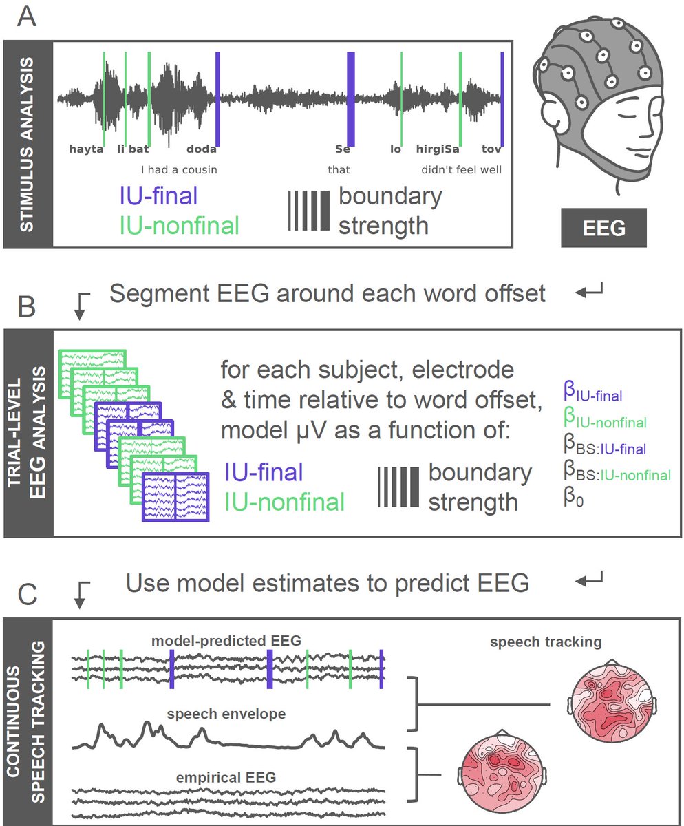 AyeletLandau's tweet image. 📣Preprint alert! together with 
@maya_inbar
 @AnatPerry @ShirGenzer and @EitanGrossman we capture event related EEG responses to prosodic units in continuous speech. Exciting science and a couple of innovative analyses -- take a look!