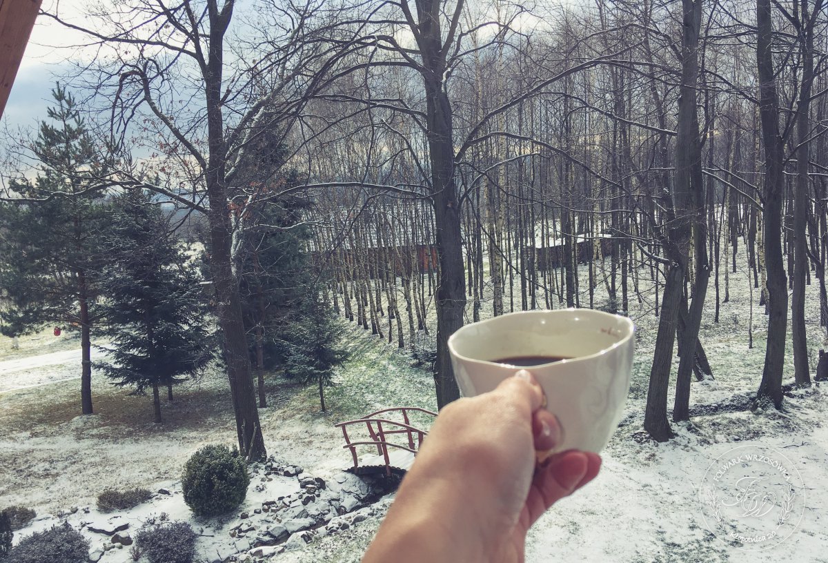 WrzosowkaDom's tweet photo. Kto zamawiał kawę z widokiem na las? 🌲🌳
#porannakawa #FerieZimowe #urlopwgorach https://t.co/VgcLHyZR4Z