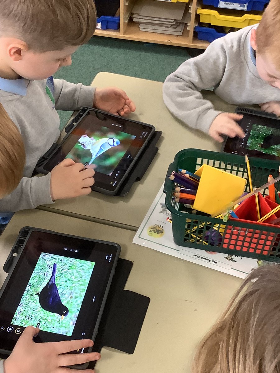 StAgnesY1's tweet image. Year1 looked at editing pictures by cropping them and changing colour effects.#stagnescomputing