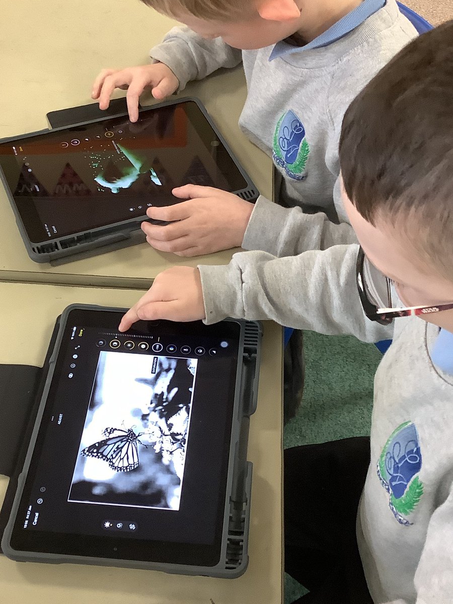 StAgnesY1's tweet image. Year1 looked at editing pictures by cropping them and changing colour effects.#stagnescomputing