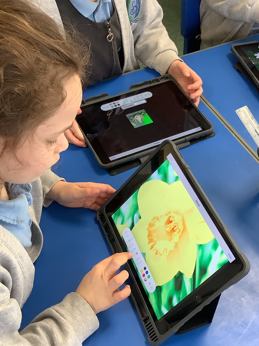 StAgnesY1's tweet image. Year1 looked at editing pictures by cropping them and changing colour effects.#stagnescomputing