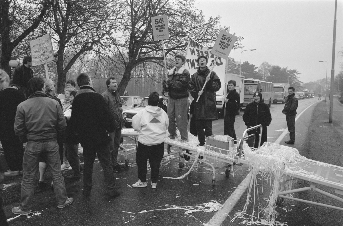 Rosa Kösters tweet media