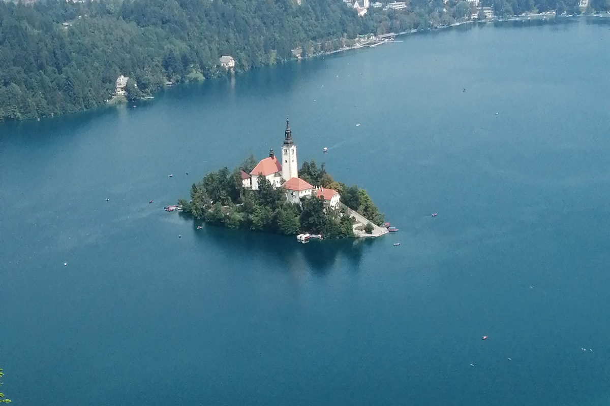 Der Lake Bled in Slowenien hat es in den letzten Jahren zu einiger Berühmtheit unter Karpfenanglern  gebracht. Aus verschiedenen Gründen. Der wohl herausragendste davon ist im wahrsten Sinne herausragend, denn er betrifft die szenische Einbettung der twelvefeetmag.de/brisante-news-…