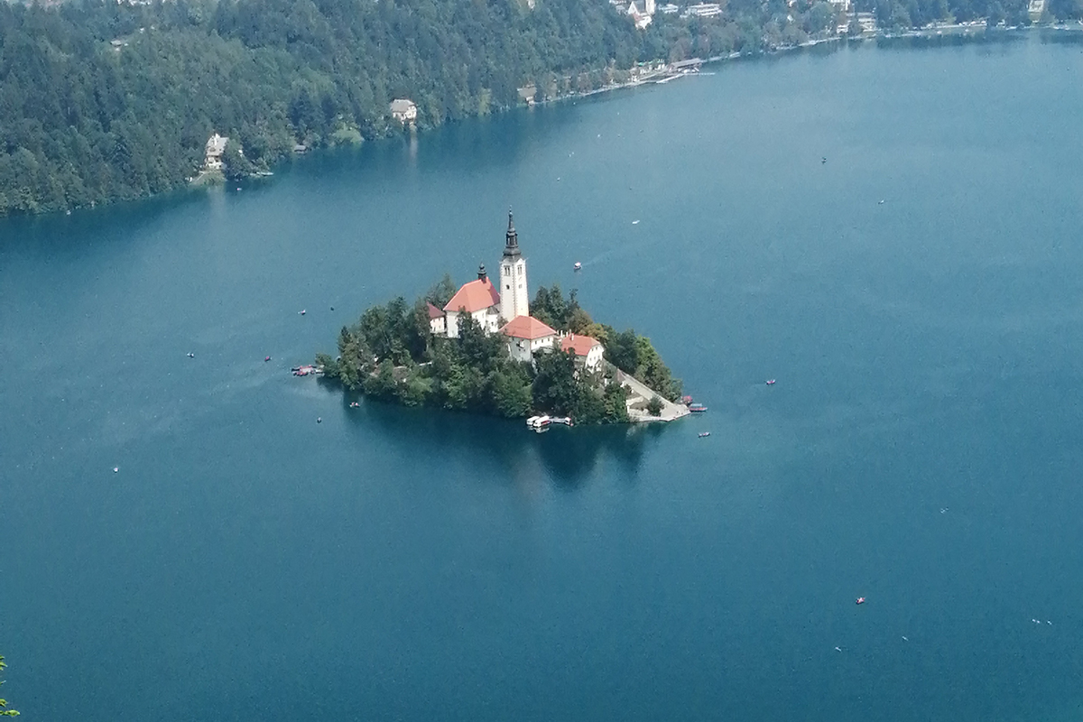 twelve_ft's tweet photo. Der Lake Bled in Slowenien hat es in den letzten Jahren zu einiger Berühmtheit unter Karpfenanglern  gebracht. Aus verschiedenen Gründen. Der wohl herausragendste davon ist im wahrsten Sinne herausragend, denn er betrifft die szenische Einbettung der

https://t.co/WbLwTrGPtu https://t.co/uFon9EBxL5