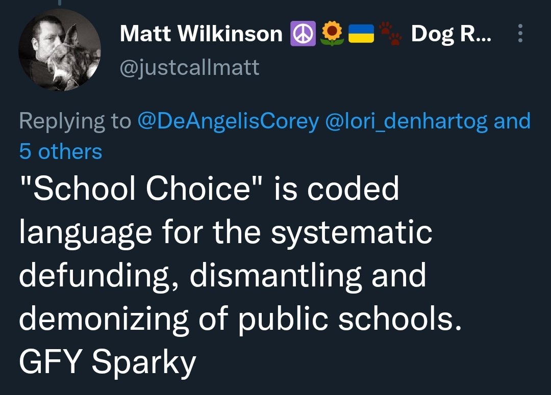 Corey A. DeAngelis, school choice evangelist tweet media