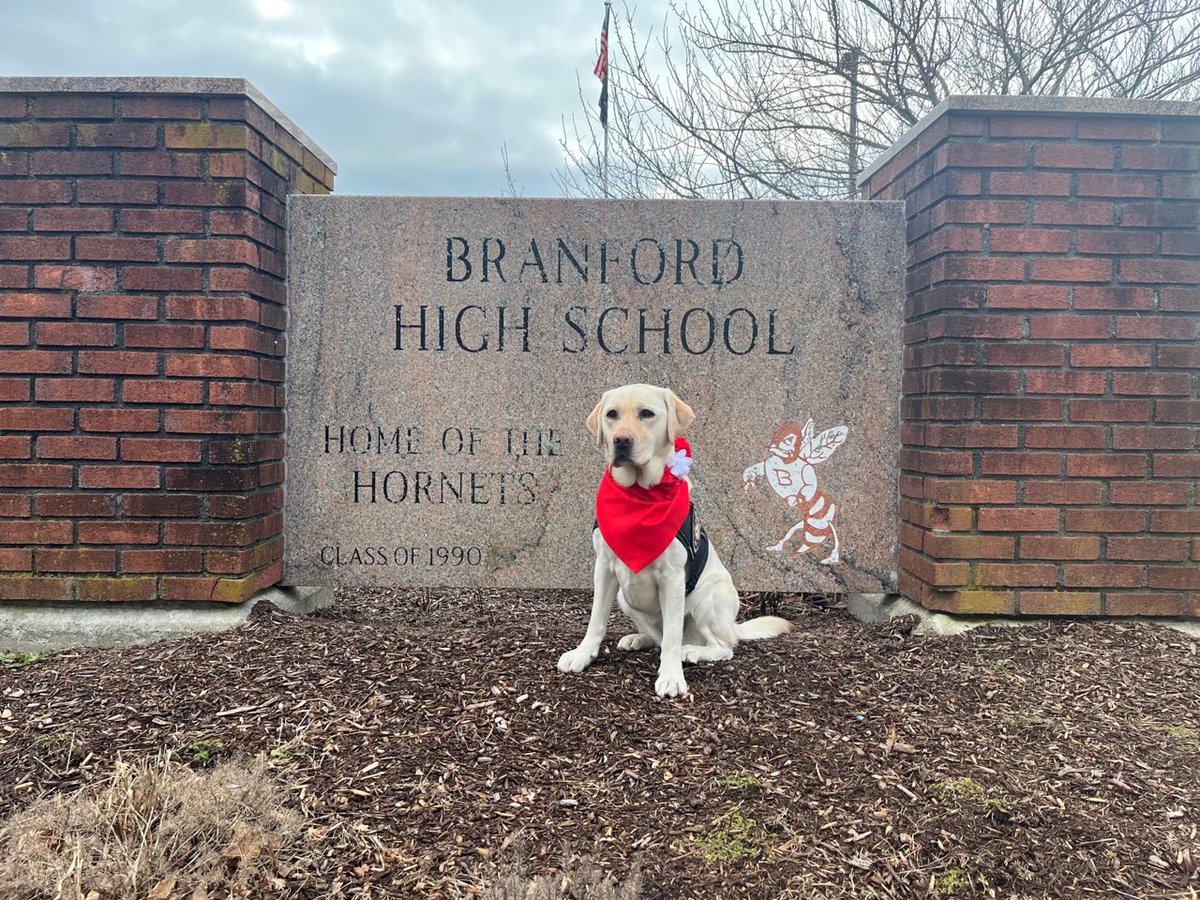 Branford High School tweet media