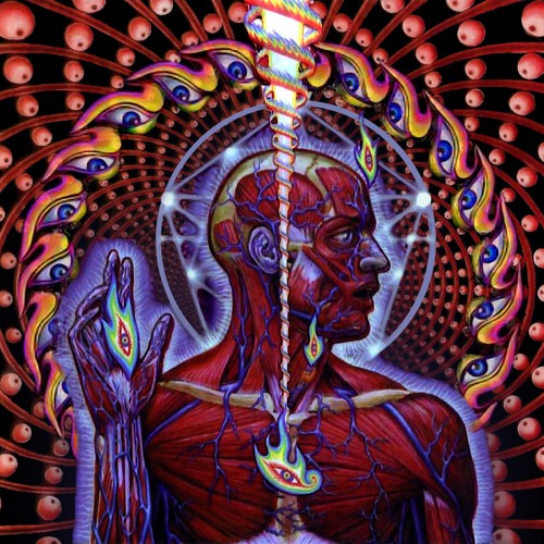 Makhno161's tweet photo. @thepunkrockmba Lateralus. https://t.co/stz8kLsbKt