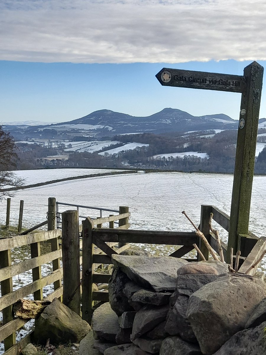 EildonRamblers's tweet photo. All three #Eildons plus a #fingerpostfriday sign post for #GalaCircuit via #GalaHill and #SouthernUplandWay!
Wonderful view, too!
@ramblersscot @RamblersGB @VisitScotland @VisitScotNews @WalkMagazine #scottishborders https://t.co/i41wjFr5GK