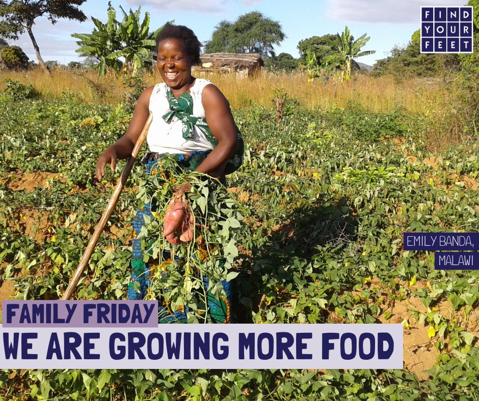 Find Your Feet tweet media