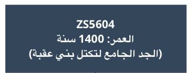 القبائل التي جاءت نتائجهم أسفل تحور بني عقبة
1.بنو واصل مصر - 2.بنو عطيه وفروعها الحويطات والترابين والمعازة والسواركة والمساعيد والوحيدات والعمارين والجبارات والعيايدة والحناجرة واللوافية وأبو دوم 
3.العمر المسالمة والعمرة
والشواكر.(عرب العطيات والرزيقات والعجايرة المسيرية.