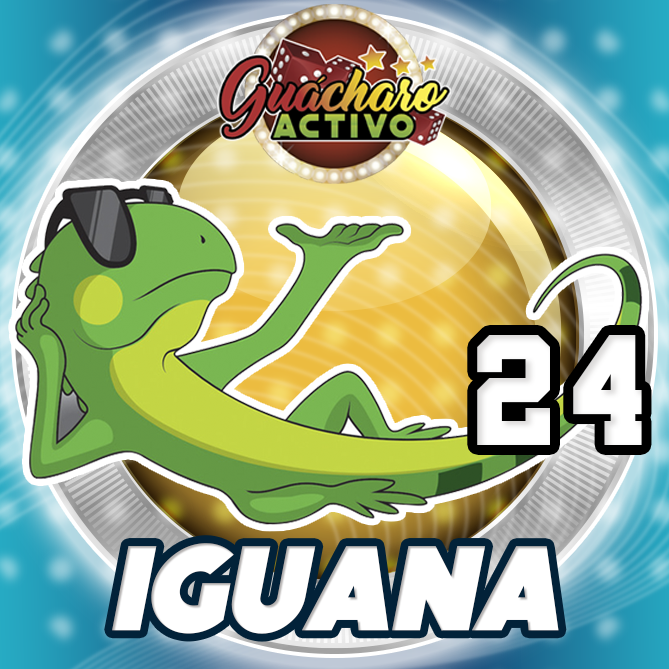 -* GUÁCHARO ACTIVO *- tweet media