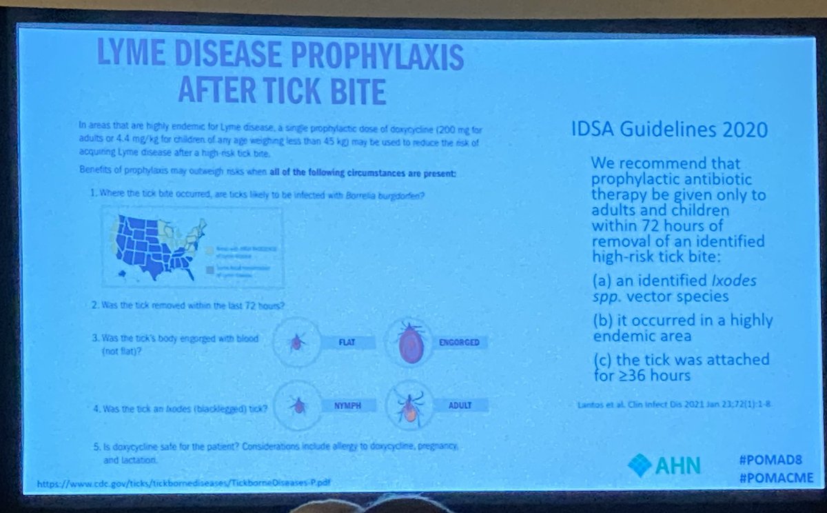 Liz Bilodeau, DMD,MD tweet media