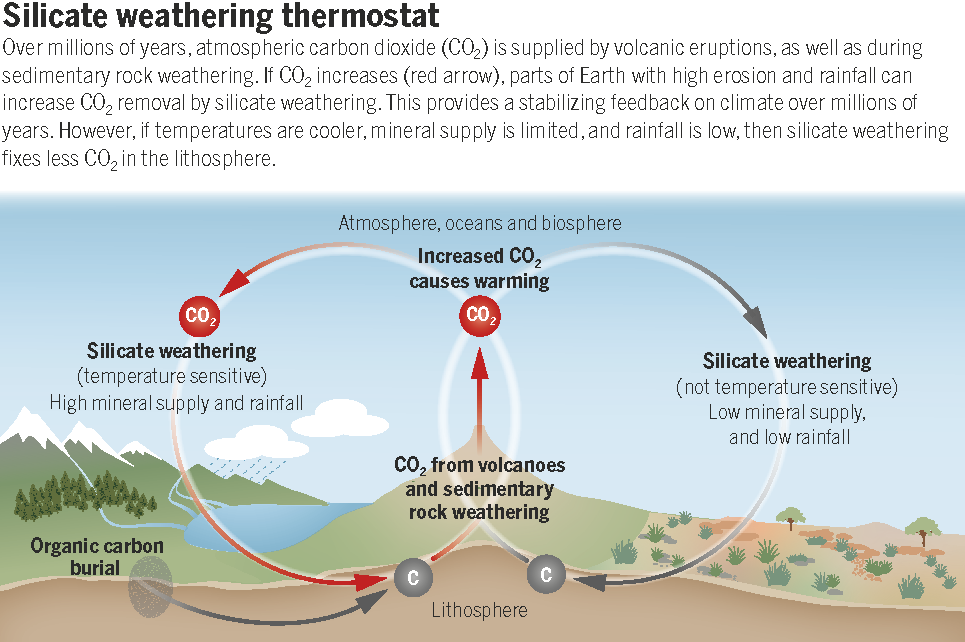 Bob Hilton (@geoccycle) on Twitter photo This was fun to write: how silicate #weathering helps stabilize Earth's #climate over millions of years, following <a href="/BrantleyPSU/">Susan Brantley</a> new paper, showing how #rainfall and #erosion set its temperature response.
+ remember that the #organic carbon cycle is fighting at the controls! This was fun to write: how silicate #weathering helps stabilize Earth's #climate over millions of years, following <a href="/BrantleyPSU/">Susan Brantley</a> new paper, showing how #rainfall and #erosion set its temperature response.
+ remember that the #organic carbon cycle is fighting at the controls!