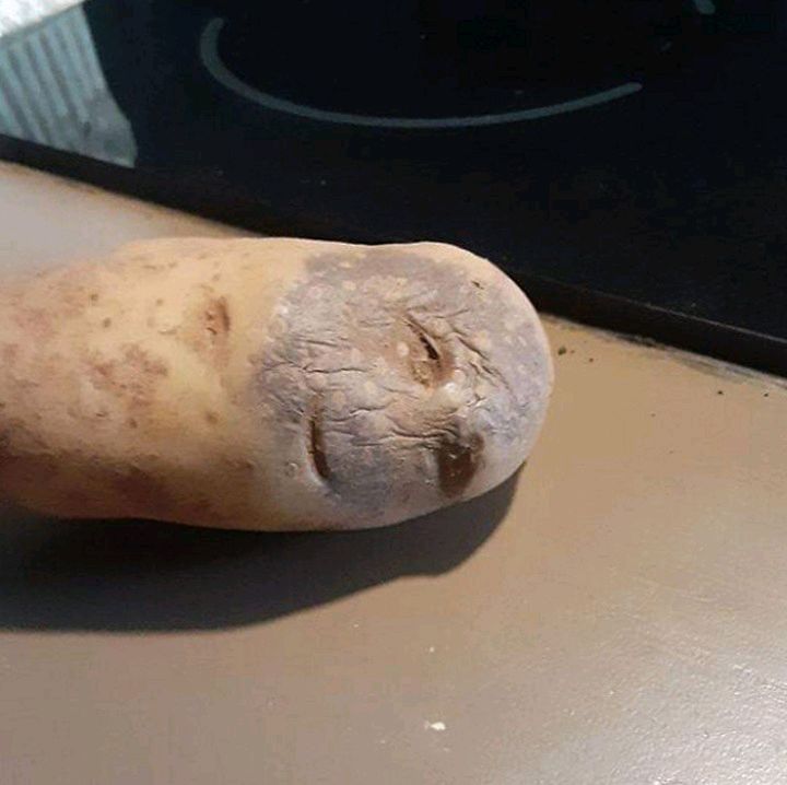 CursedCreepy's tweet photo. #cursed #creepy #unnervingimages #dreadful #cursedimages #scary #creepyart #cursedimage #weirdcore https://t.co/ZJ0d9SAr1k
