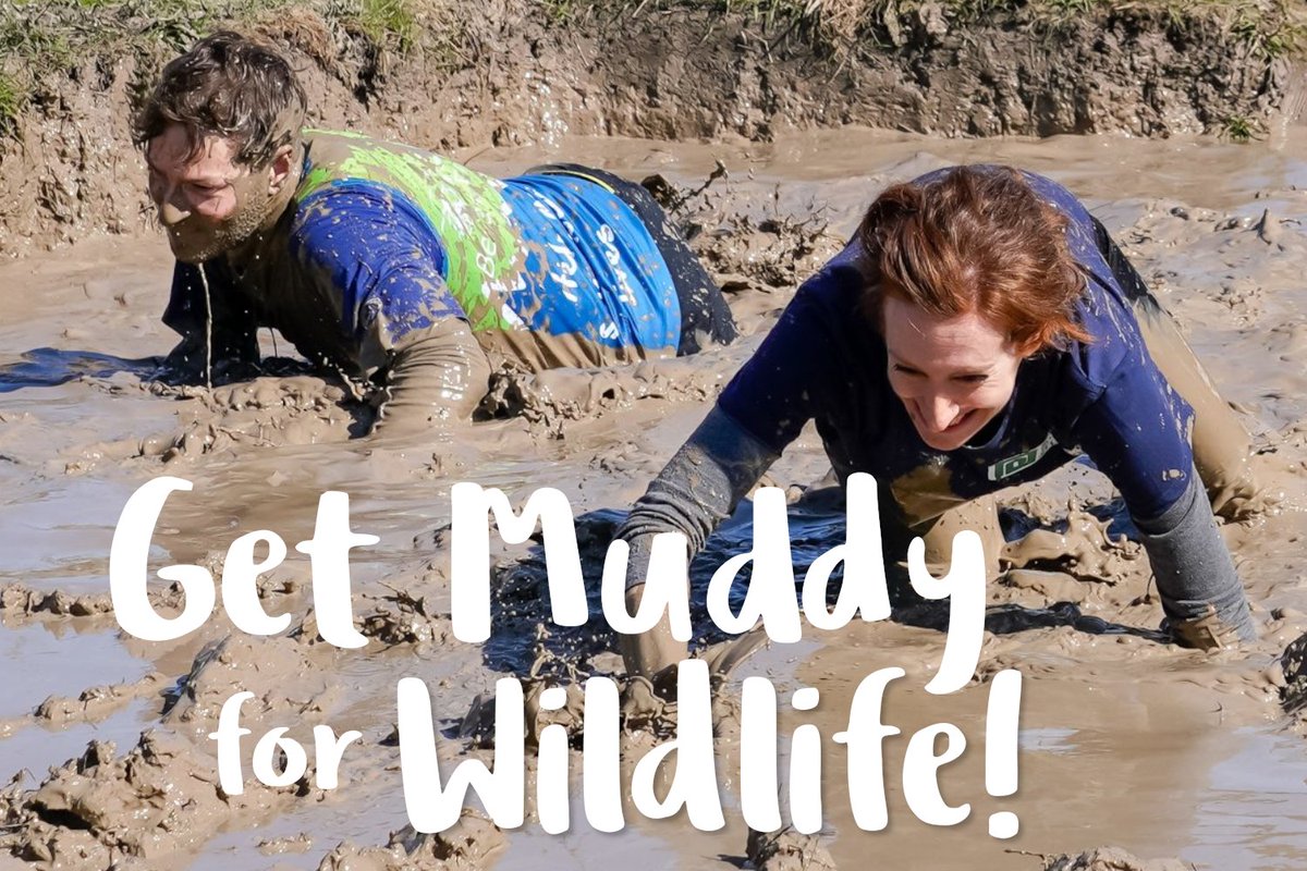 SomersetWT's tweet image. Let's get muddy for wildlife! 🤎💦

We're delighted to announce that for the first year EVER, you'll be able to raise funds for Somerset's wildlife by taking part in #MudMaster! 👇
somersetwildlife.org/mud-master

#SomersetWT #TeamWilder