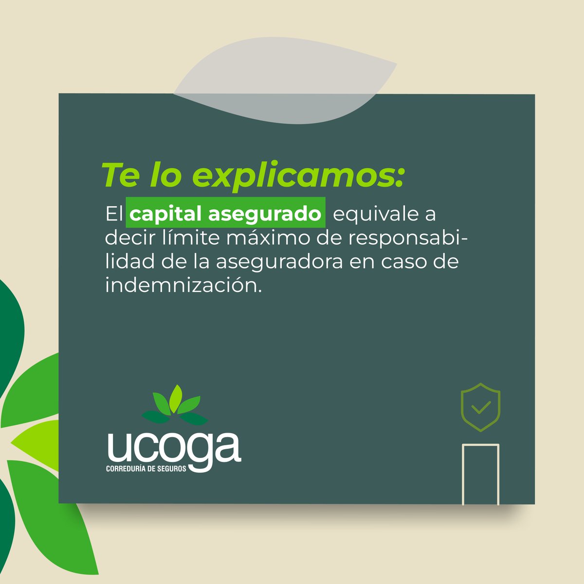 ¡¡Viernes de #ucoexplicaciones!!
Despedimos esta semana con un nuevo término: El Capital asegurado. Un elemento fundamental en cualquier póliza.
¿Sabías que es muy importante revisar el capital asegurado en tus pólizas? 🧐
.
.
.
#ucogaseguros #seguros #CorreduríaDeSeguros