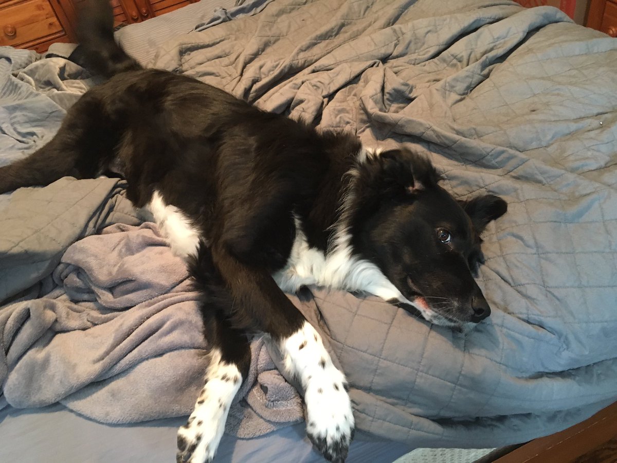 And finally, look at this girl!