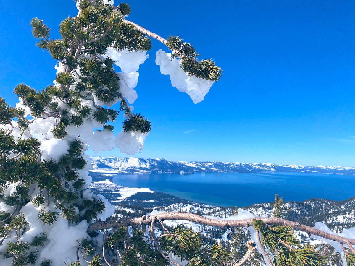 HPM_HPence's tweet photo. Fridayyyyyyy #lfgx 🎿 ⛷️ happy weekend everyone! ⛄️ ❄️ @TahoeWeather @HVconditions #Tahoe #exploring https://t.co/yN9rd7A7jQ