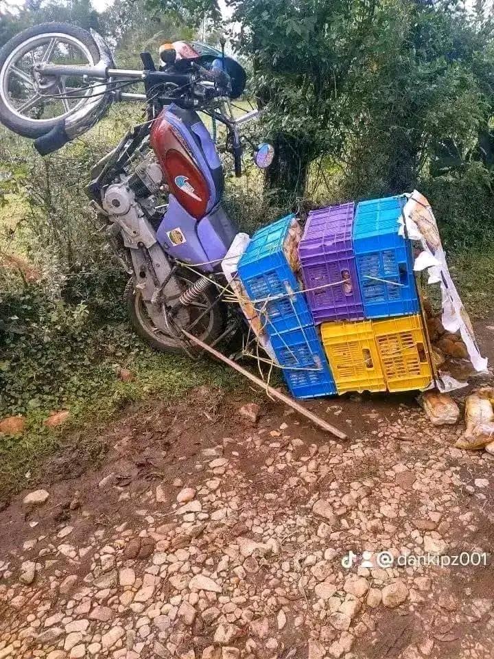 OmbunaJoshua's tweet photo. Nilimwambia mnipee namba zenu mukaringa🙄🙄 https://t.co/5j8uReY8SP