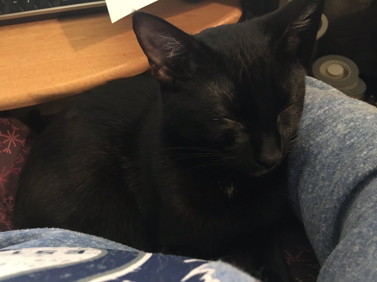 Look at this boy. (His name is Cash, he’s baby)