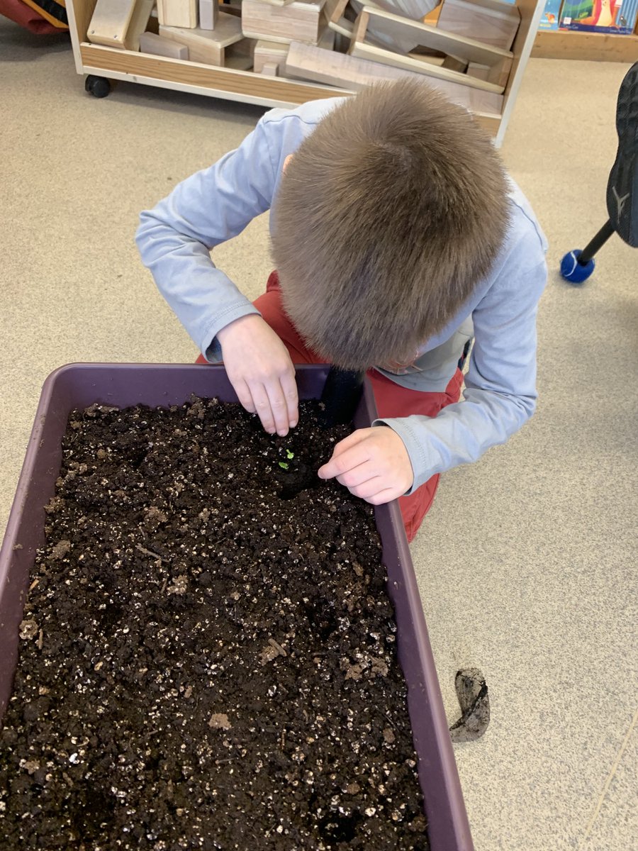 Shannon Taylor tweet media