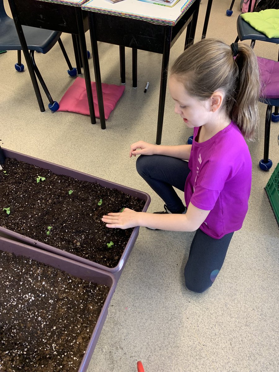 Shannon Taylor tweet media