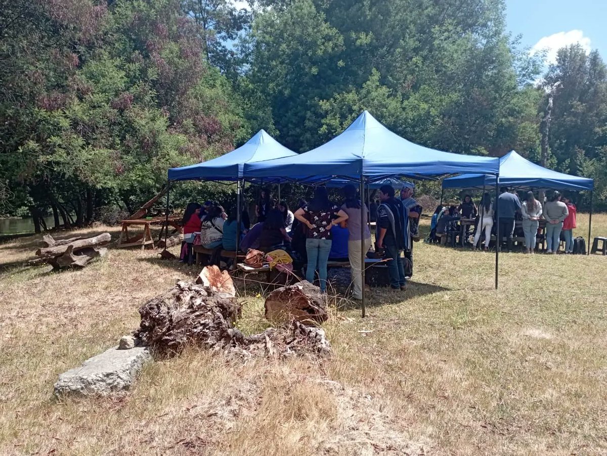 🛖 En el marco del Programa de Salud Mapuche, Hospital de Loncoche en conjunto con el Departamento de Salud Municipal, realizaron 1° Encuentro de Salud Intercultural, para generar espacios de conocimiento entre la medicina ancestral mapuche y la salud pública existente.