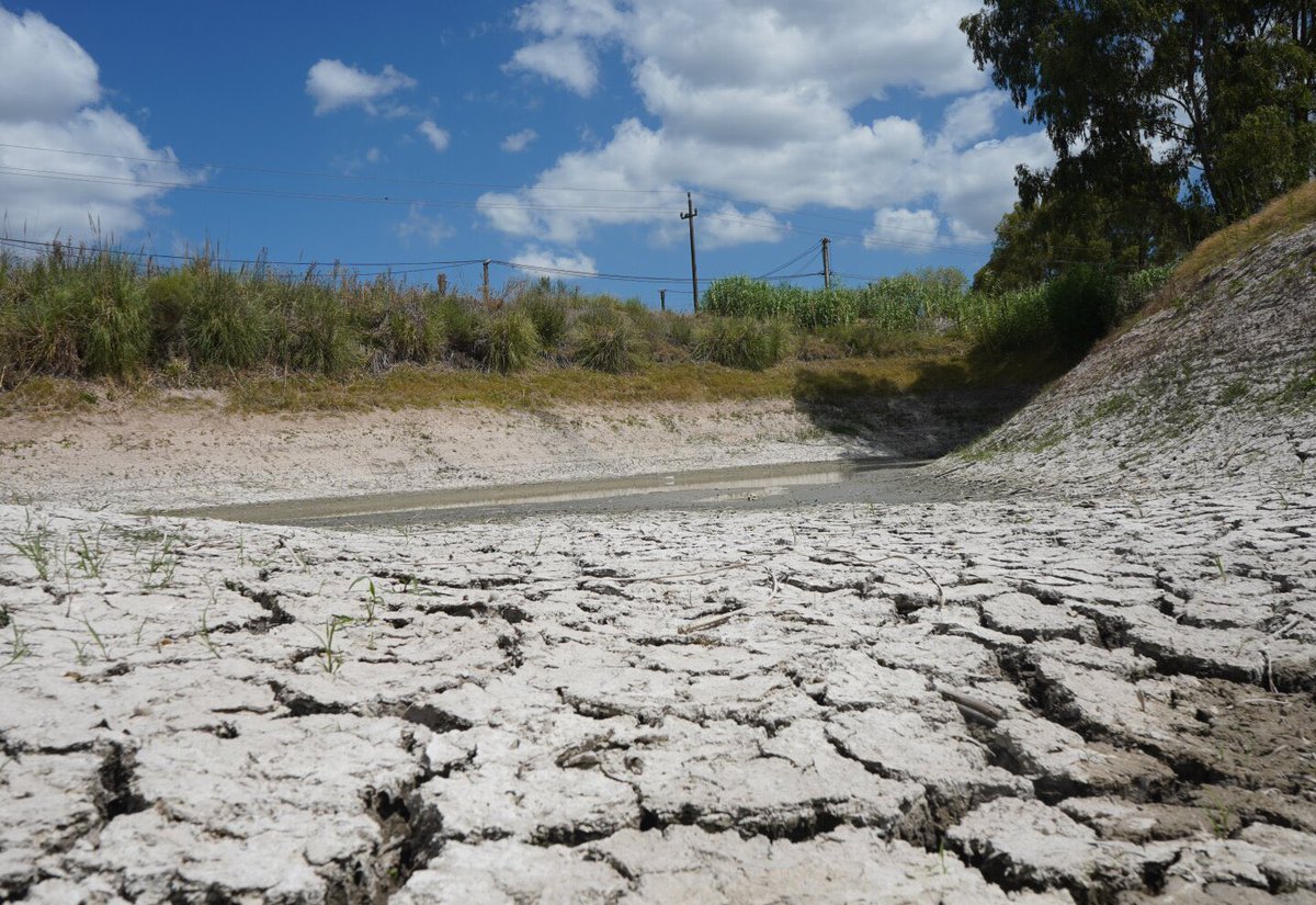Ya está disponible el formulario web para acceder a la financiación de las facturas de enero, febrero y marzo para los productores afectados por la sequía. gub.uy/tramites/solic…