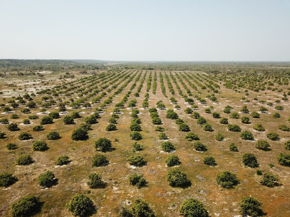 Luke L. Powell tweet media