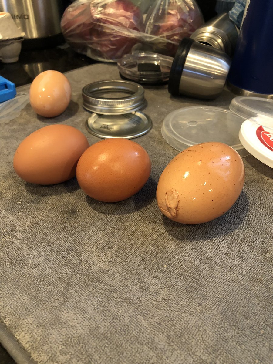 john morrish tweet media