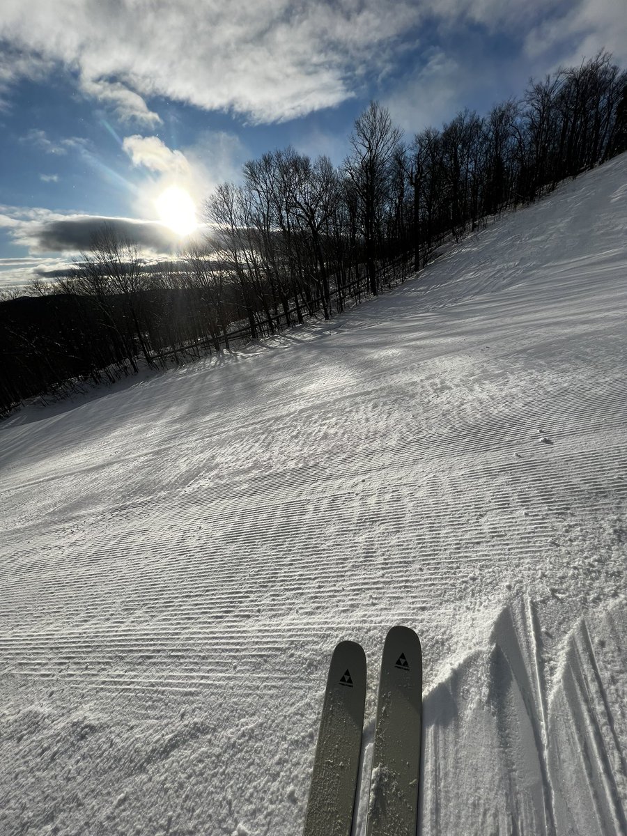 The Out of Collective tweet media