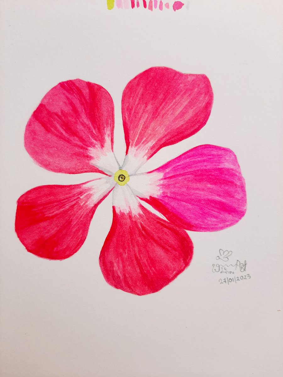 ChiefWilwilwil's tweet photo. The first completed art of 2023. 

From Anna Mason's class. 

#commissionsopen 

#watercolor https://t.co/FdGwwwoBbW