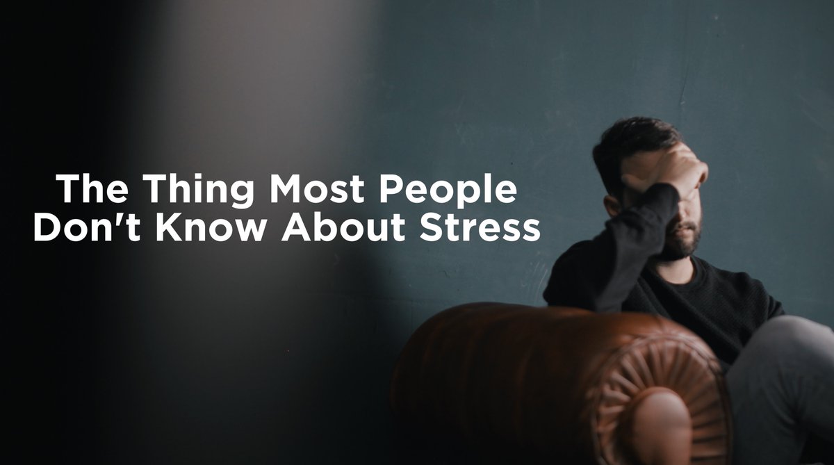 Stressed?😵‍💫 We got you! Check out our new and shiny article about our good old friend, stress: bit.ly/406n1Vh
