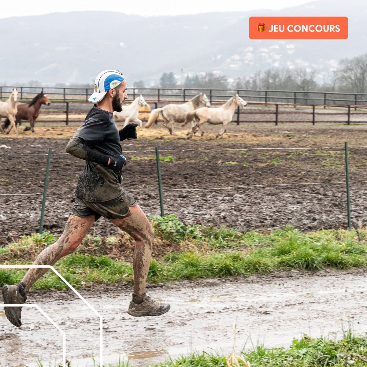 Finishers tweet media