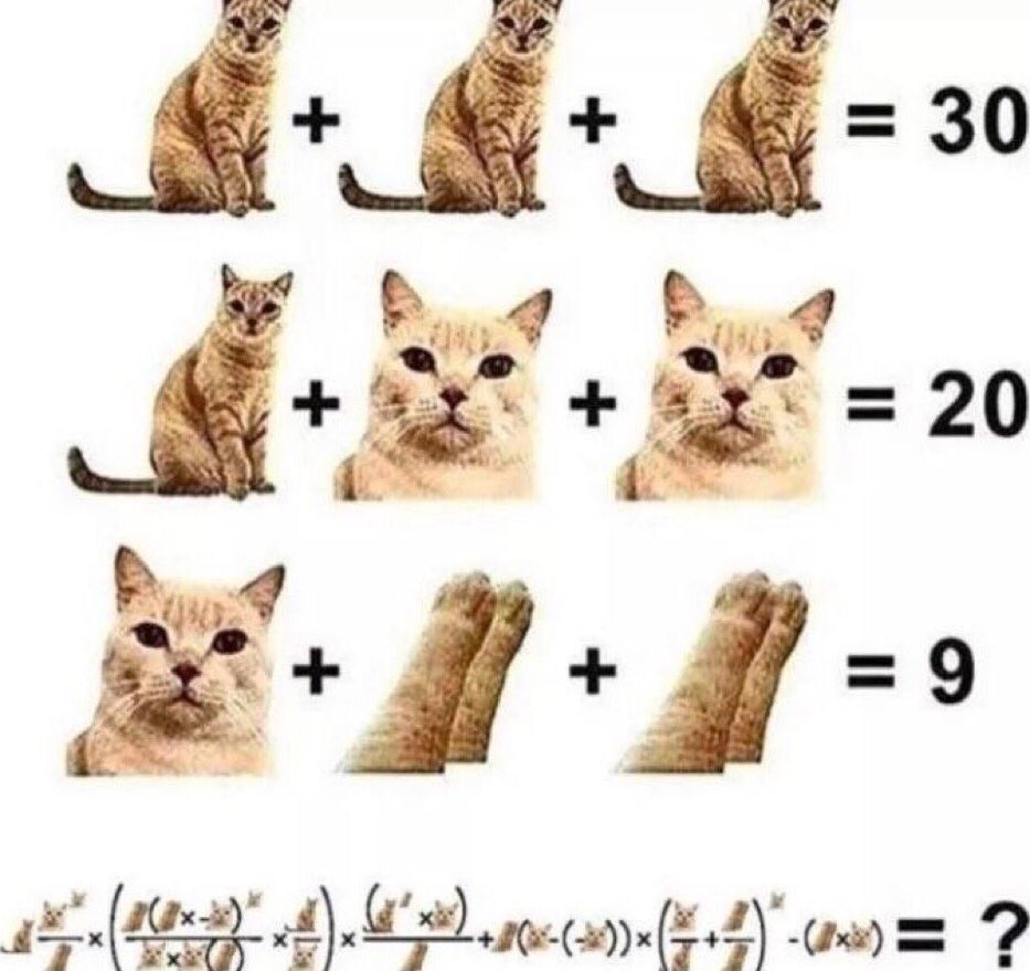 studfyf's tweet image. confio em vcs studytwt