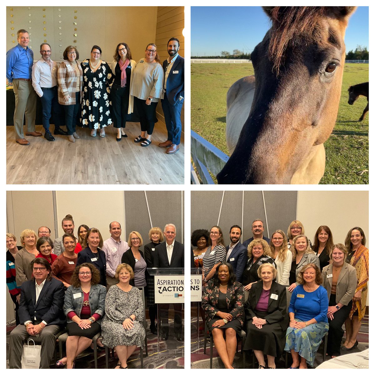 ThePattersonFdn's tweet photo. Beyond the Blog, Join the Journey -- coming soon!
TPF believes sharing more stories focused on the people, organizations, and communities strengthened through the foundation’s work can heighten our understanding of the good that innovative, strategic philanthropy makes possible. https://t.co/6otecx9gun