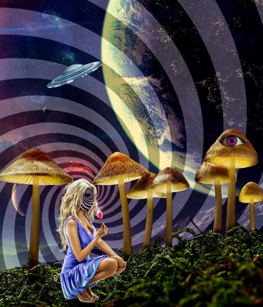 Mystic Garden by <a href="/shamanyckVision/">Shamanyck.eth</a> 🍄🛸