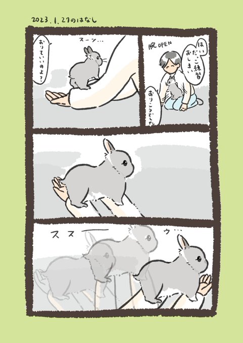 腕にちっちゃいうさぎ乗せてんのかい

#うさぎのいる生活 