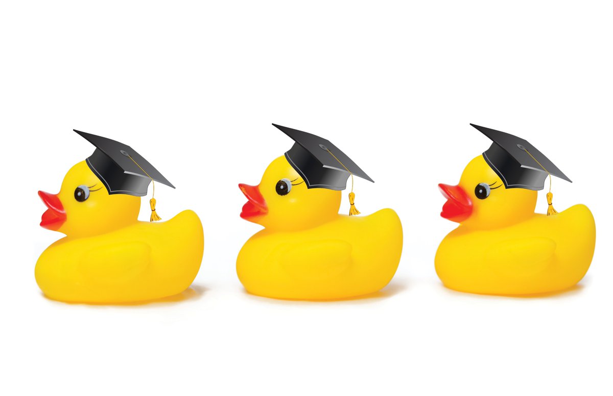 Grove City Area Federal Credit Union tweet media