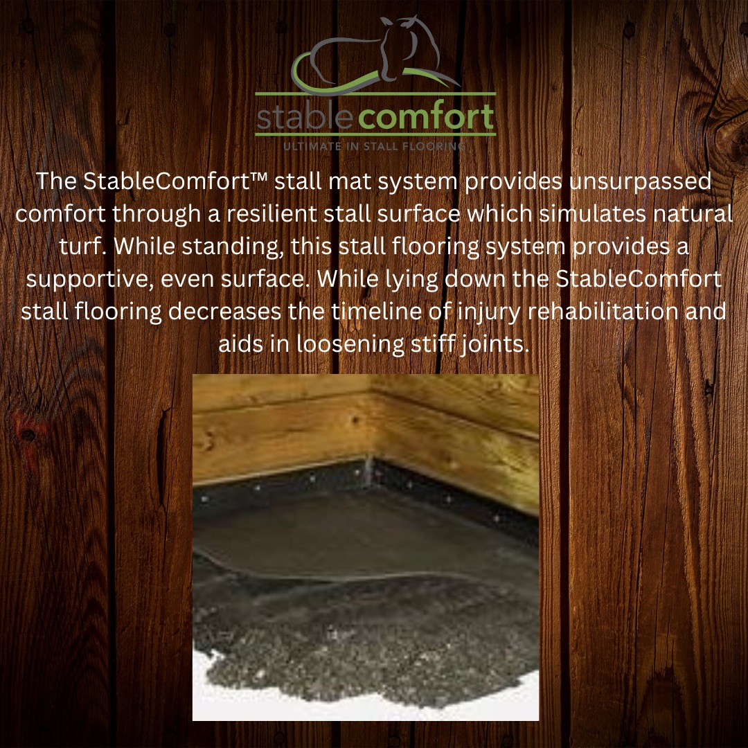 StableComfort's tweet photo. Want to know more about our StableComfort system. Please feel free to contact us at sales@stablecomfort.com.
#stablecomfort
#StallFlooring
#leaderinanimalcomfort
#horses
#promatinc https://t.co/0vA3h8sWxd