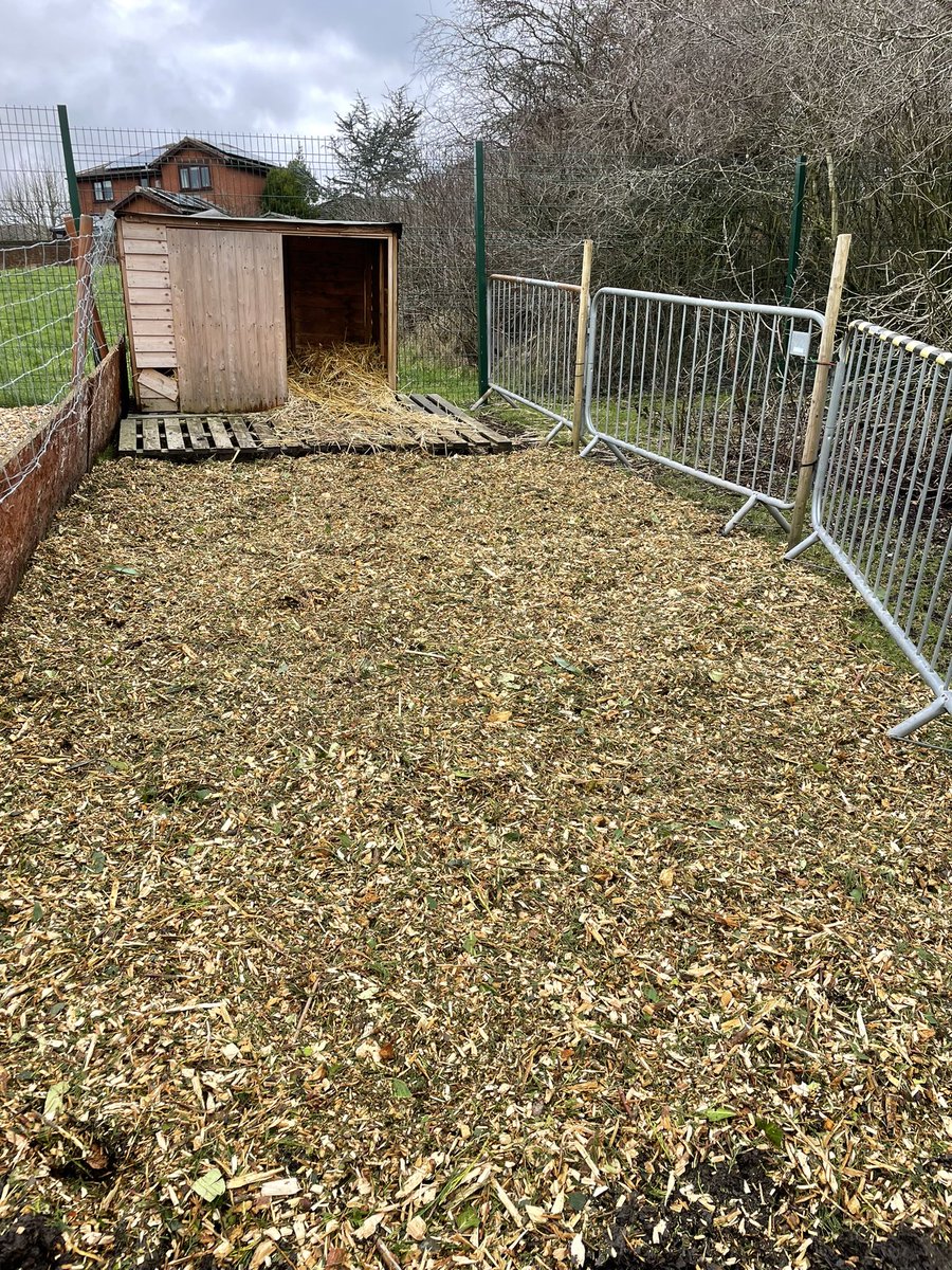 Livvi_Fay's tweet photo. From this…….. To this !!!! The winter has taken its toll. The animals are loving their fresh woodchip. 🐐🐑🐖 #farmlife #farmtherapy @bolton_pru @LeverParkSchool https://t.co/ye9m6AcqHR