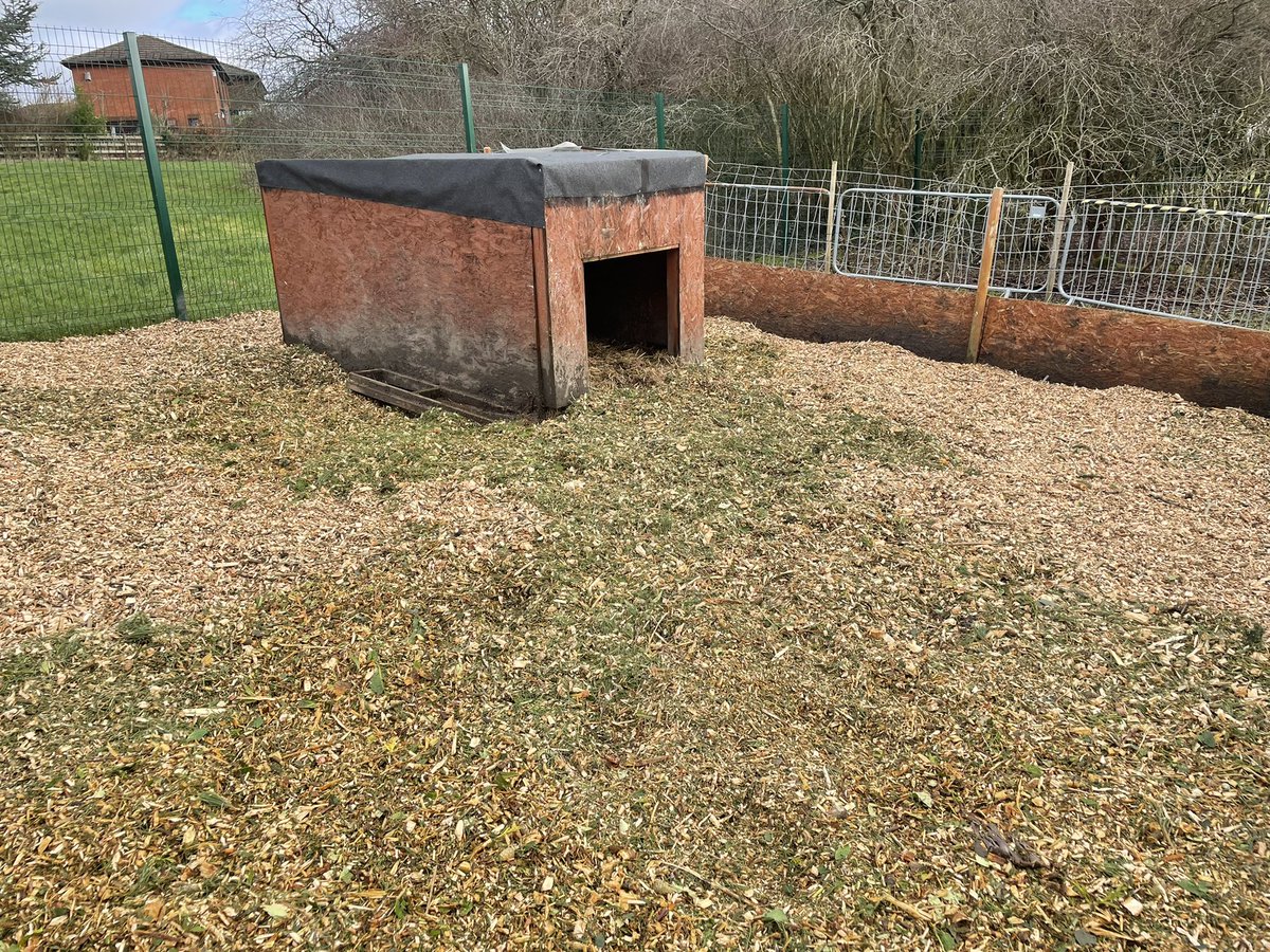 Livvi_Fay's tweet photo. From this…….. To this !!!! The winter has taken its toll. The animals are loving their fresh woodchip. 🐐🐑🐖 #farmlife #farmtherapy @bolton_pru @LeverParkSchool https://t.co/ye9m6AcqHR