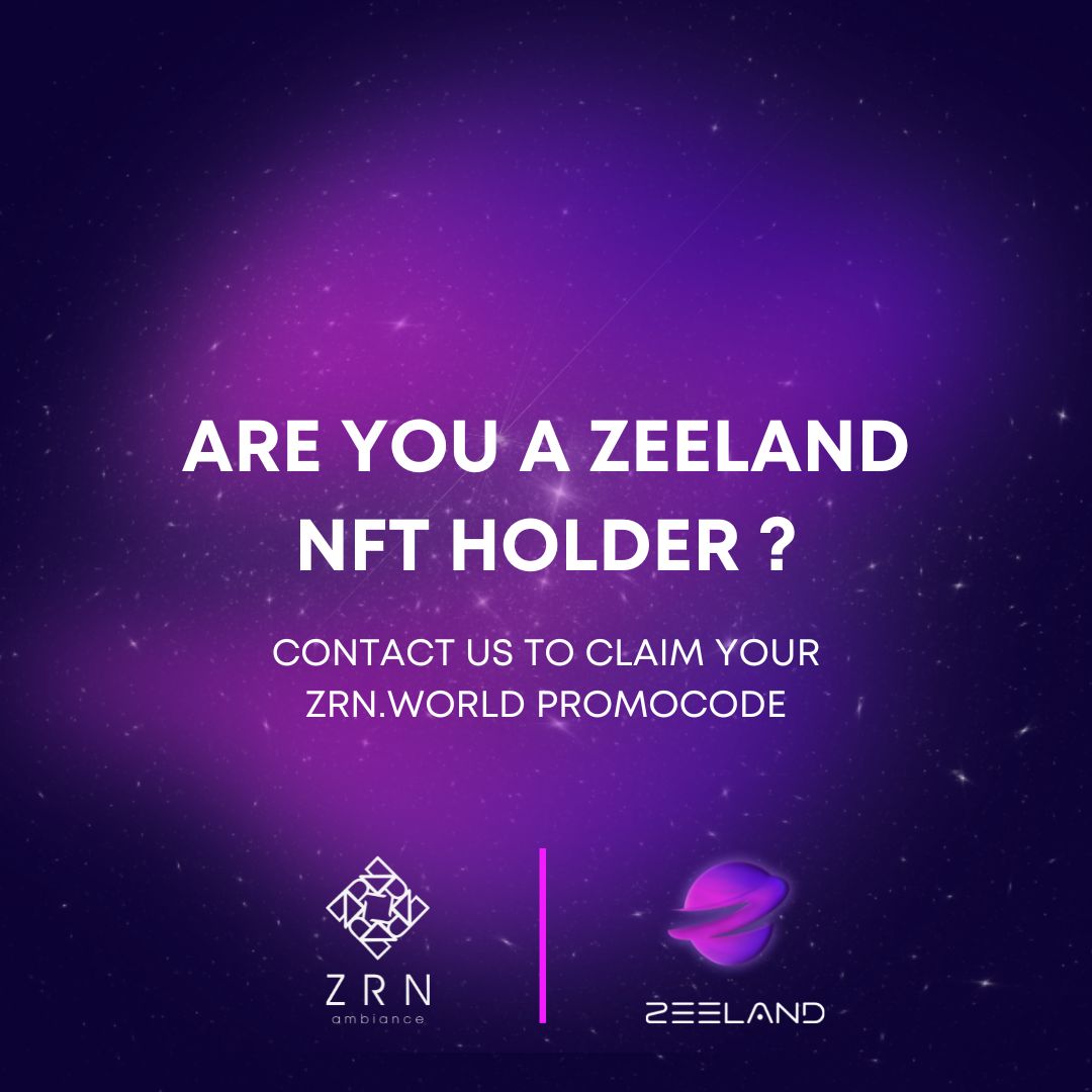 Zeeland NFT tweet media