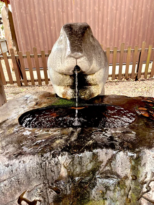 今日散歩した神社たち狛犬の代わりに兎と鳩?が居て可愛かったな。マーライオンのように口からちょろちょろ水を吐くマーうさぎシュールだった。 