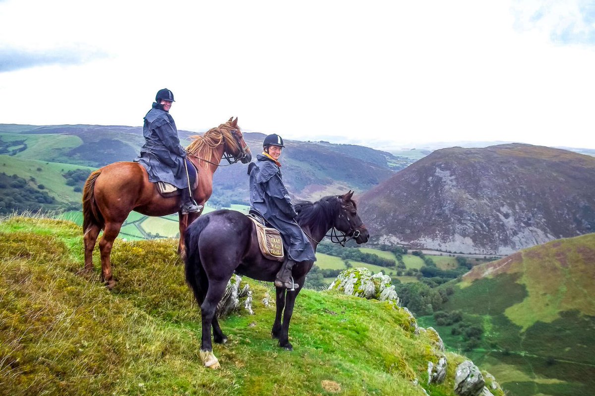 Vous avez envie d'une randonnée ryhtmée ? Partez au #paysdegalles ! 
+ d’infos ? ➡️ cheval-daventure.com/voyages-equest…
⌛️7 jrs (5 à cheval) | 🏇expérimenté.e - En famille à partir de 12 ans
#monaventureacheval